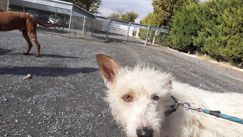 Centro Canino De Tudela en Navarra