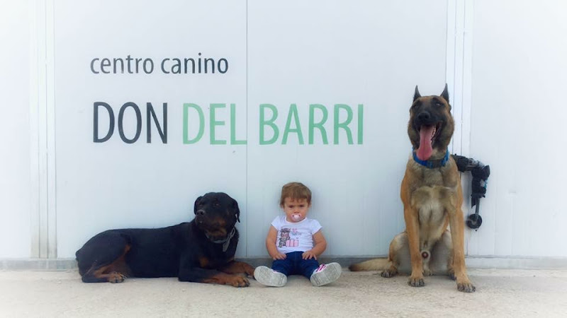 Centro Canino Y Residencia Don Del Barri en Navarra