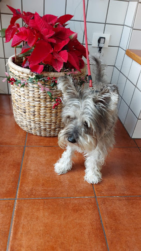 Centro Veterinario La Rambla en Las Palmas