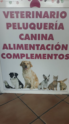 Centro Veterinario Peluchitos Al Este en Sevilla