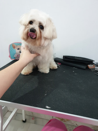 Centro Veterinario Peluchitos Vértice en Sevilla