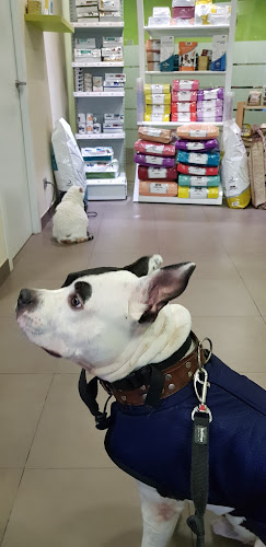 Centro Veterinario Y Peluquería Canina Guindalera en La Rioja