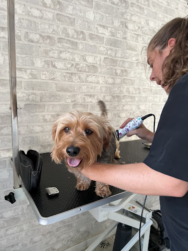 Chic Guagua Peluquería Canina en Madrid