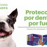 Clínica Veterinaria Dakota – Peluquería Canina en Azuqueca De Henares