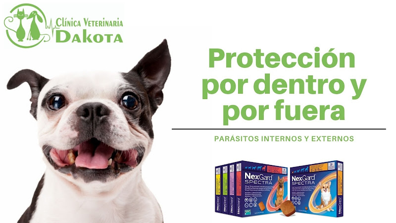 Clínica Veterinaria Dakota en Guadalajara