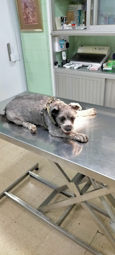 Clínica Veterinaria Los Galgos en Las Palmas