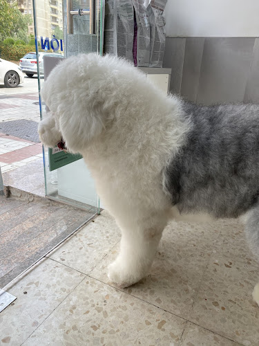 Clínica Veterinaria Velazquez (Málaga) en Málaga