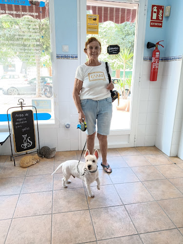 Clinica Veterinaria Voramar Golf en Alicante