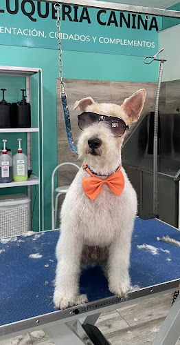 Coco Mascotas Peluquería Canina en Alicante