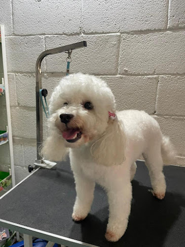 Cococan Peluquería Canina en A Coruña