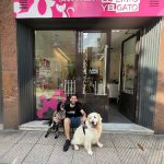Como El Perro Y El Gato Peluquería Canina Y Felina – Peluquería Canina en Oviedo