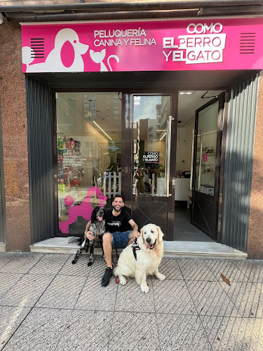 Como El Perro Y El Gato Peluquería Canina Y Felina en Asturias