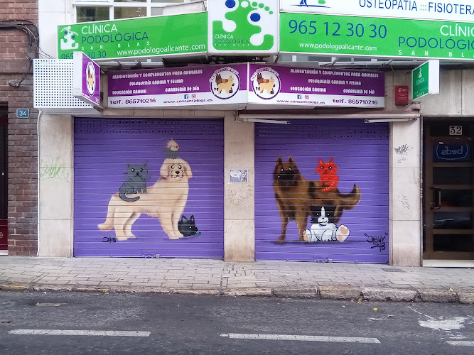 Consentidogs en Alicante
