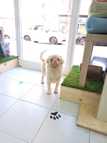 Cooki Pet Shop en Balearic Islands