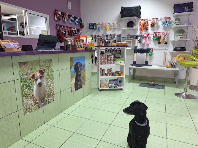 Coquetos Peluquería Canina en Alicante