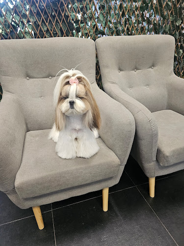 Coralana Peluquería Canina en Álava