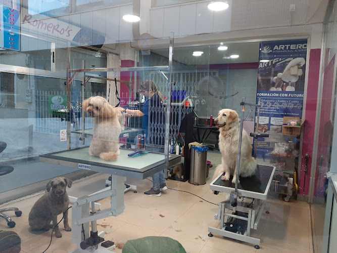 Cristina Romero’s Estilisme Cani en Valencia