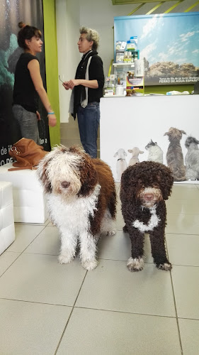 Cucamona Sportdogmallorca en Balearic Islands