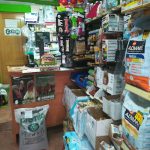 D'bichos – Peluquería Canina en El Casar