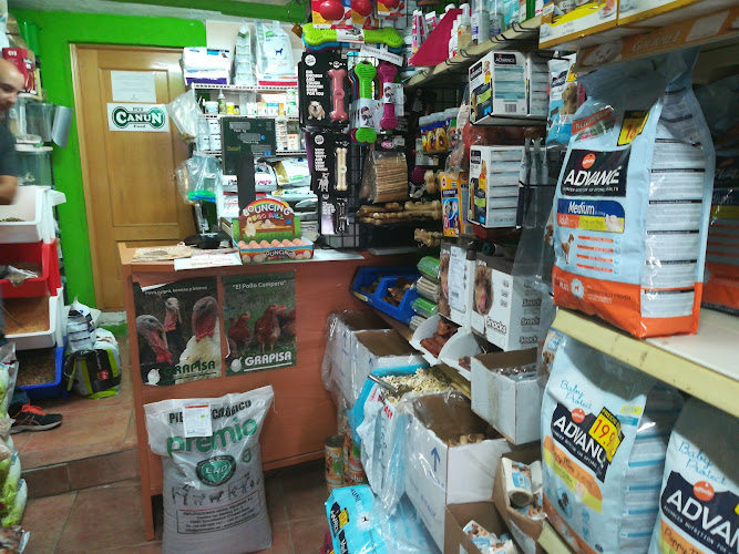 D'bichos en Guadalajara