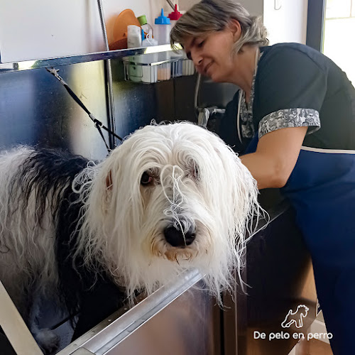 De Pelo En Perro Peluquería Canina en La Rioja