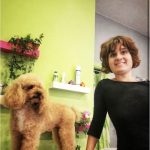 Decans - Peluquería Canina Y Felina – Peluquería Canina en Vigo