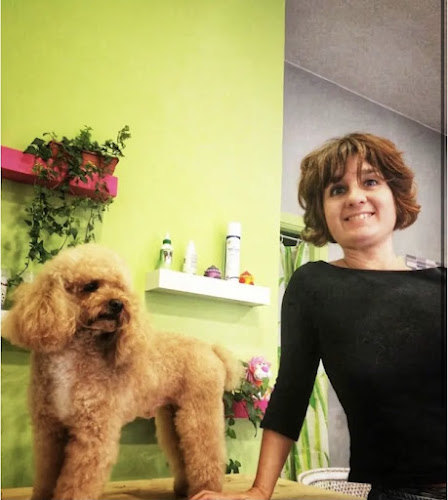 Decans - Peluquería Canina Y Felina en Pontevedra