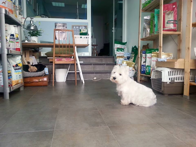 Día De Perros - Peluquería Canina En Madrid en Madrid