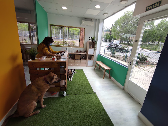 Días Perros en Madrid