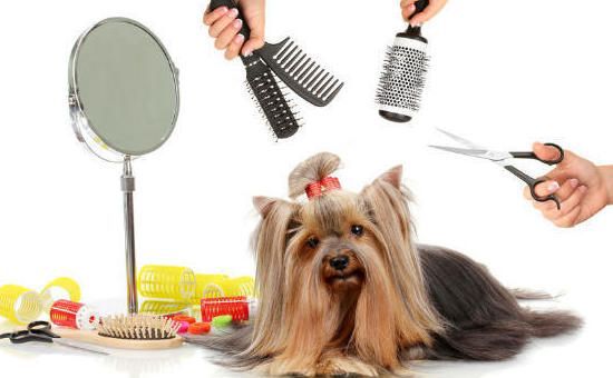 Distribuciones Garcilleja en Zaragoza