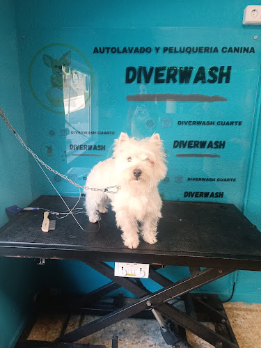 Diverwash en Zaragoza