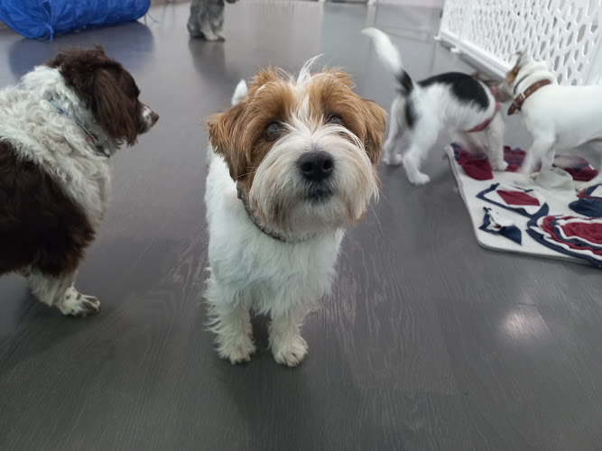 Dogetxea en Gipuzkoa