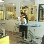 Dogger Dog Designers S.l – Peluquería Canina en Oviedo