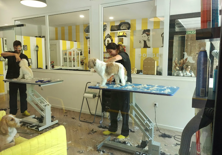Dogger Dog Designers S.l en Asturias