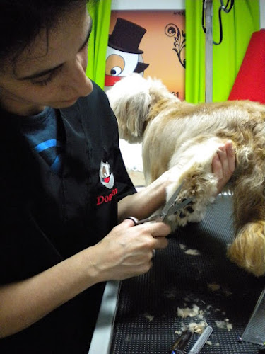 Don Perro Nervión en Sevilla