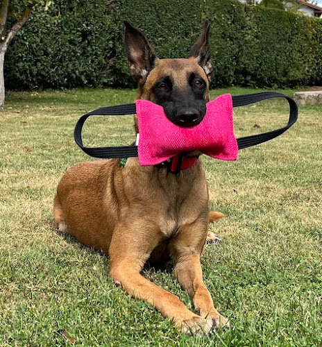 Eibarcan en Gipuzkoa