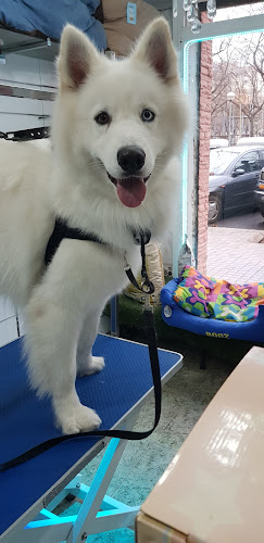 El Meu Amic en Barcelona