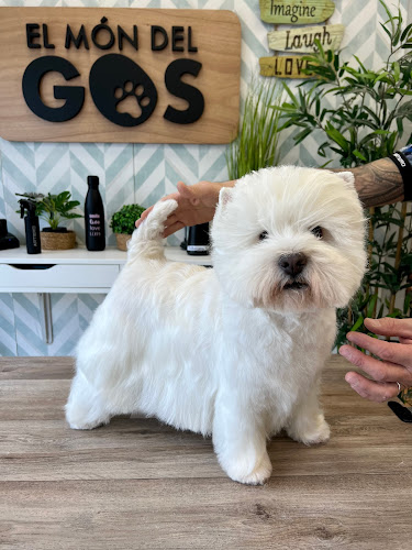 El Món Del Gos - Girona en Girona