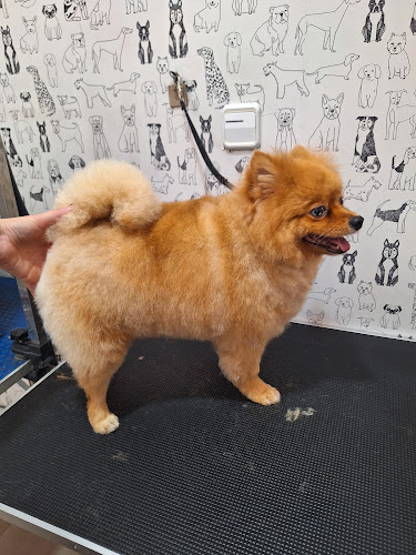 El Rincón De Luna en Málaga