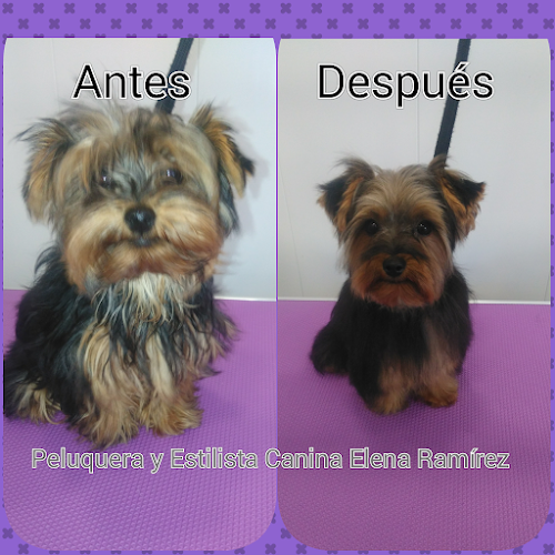 Elena Ramírez en Málaga