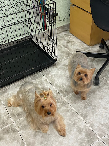 Enredog Peluqueria Canina en Madrid
