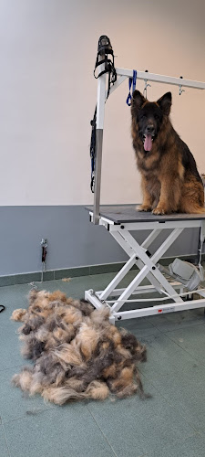 Eos Estilista Canina en Biscay
