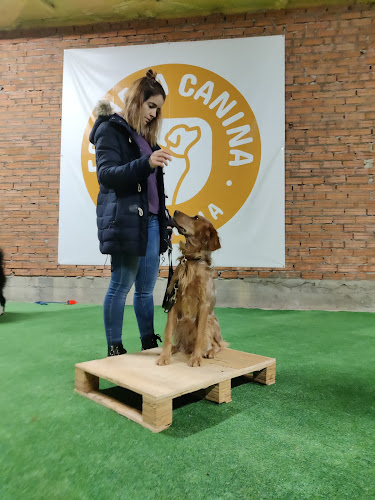 Escuela Canina Palencia en Palencia