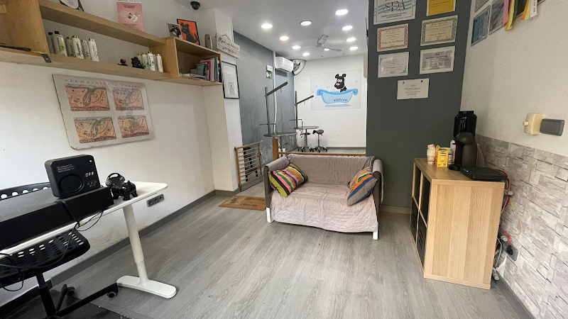Escuela De Peluqueria Canina Kikecan - Iv San Bernard Official Academy en Madrid