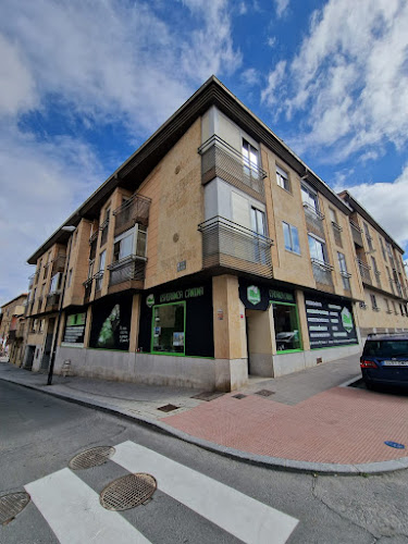 Esperanza Canina en Salamanca