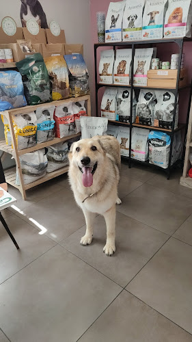 Espíritu Animal Peluquería Canina en Sevilla