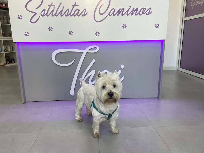 Estilistas Caninos Thai en Murcia
