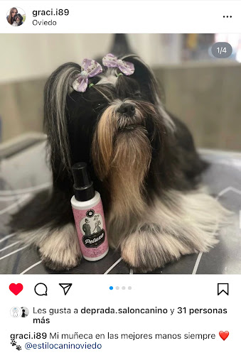 Estilo Canino en Asturias