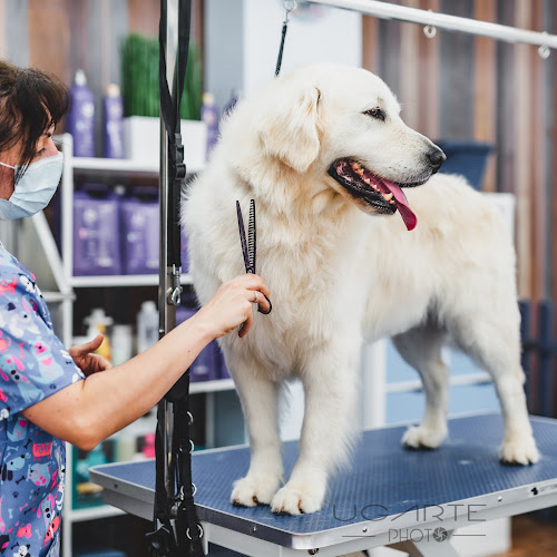 Eumecan Peluquería Canina en A Coruña