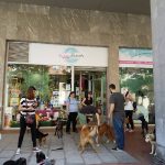 Facedog – Peluquería Canina en Bilbao